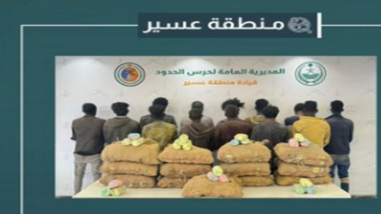 إحباط تهريب 375 كجم قات بعسير وجازان والقبض على 17 مخالفًا